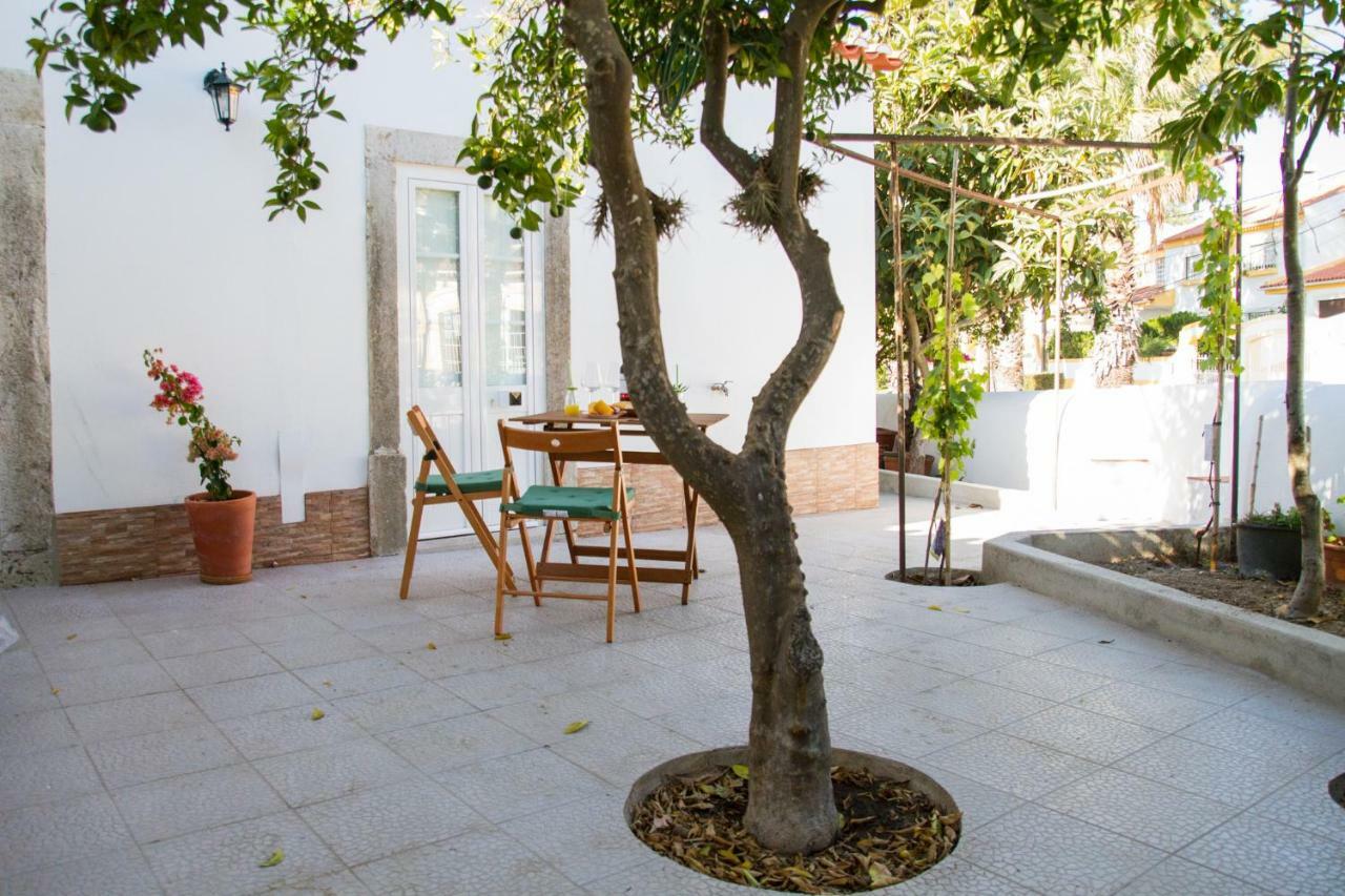 Casa Dos Avos Daire Azeitao Dış mekan fotoğraf